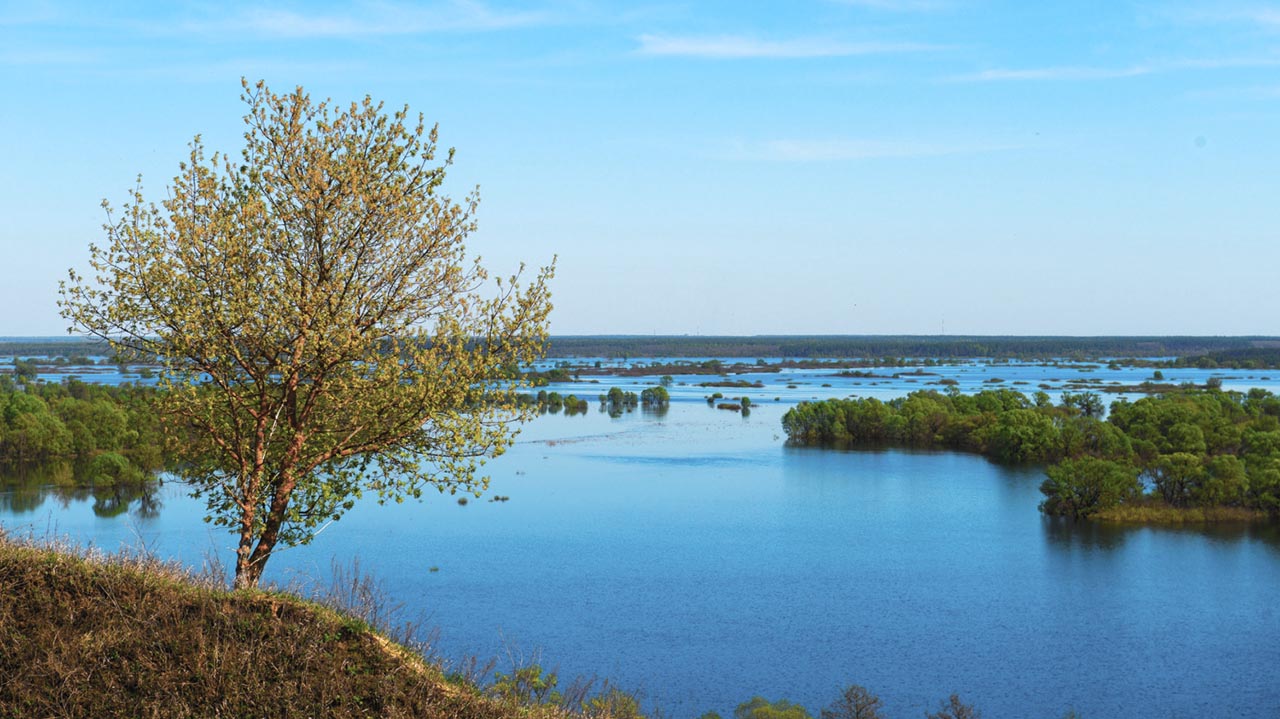 Disinfestazione aree alluvionate in Emila Romanga, perchè è importante