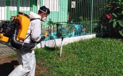 Allarme Dengue, aumentano i controlli negli aeroporti in Italia